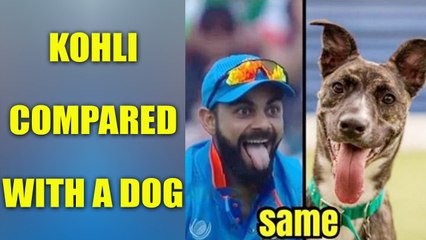 ICC Champions Trophy : Virat Kohli compared to dog by Bangladeshi fans | Oneindia News