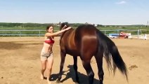 Un cheval vient en aide à sa cavalière qui galère à monter