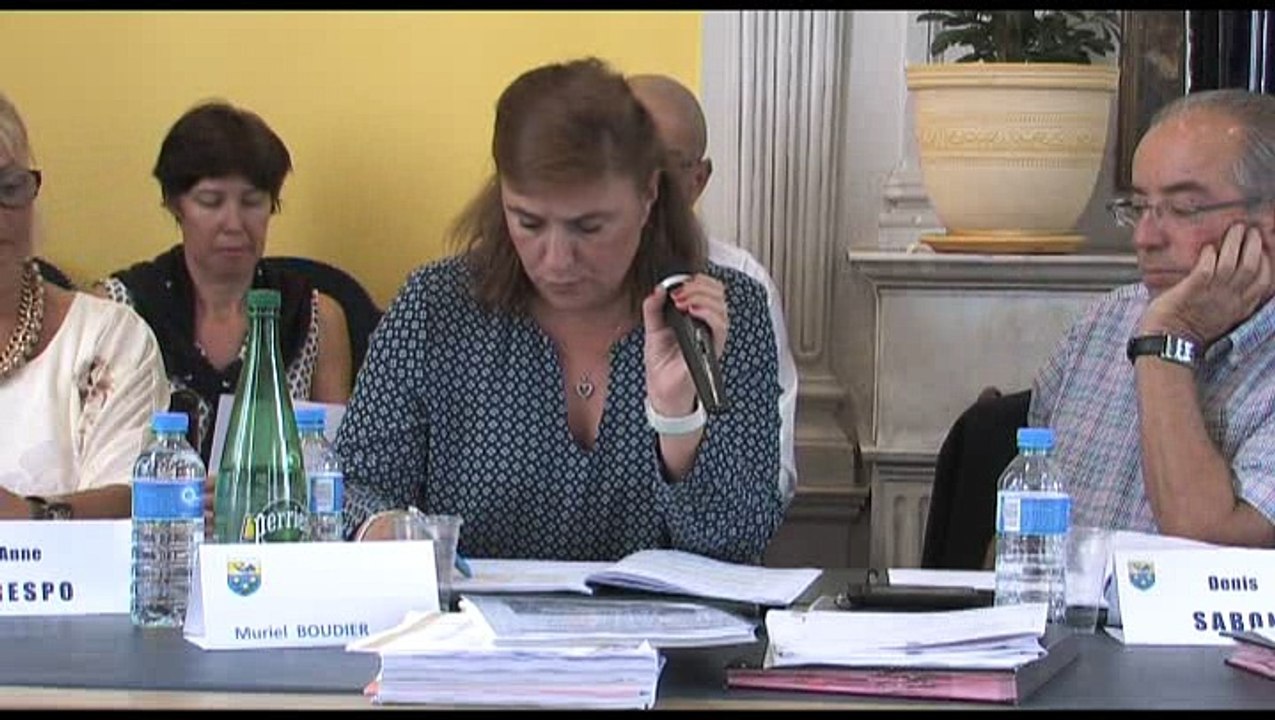 Conseil municipal du vendredi 9 juin 2017 partie C