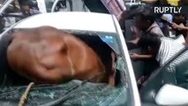 Acidente de carro e cavalo choca a Índia