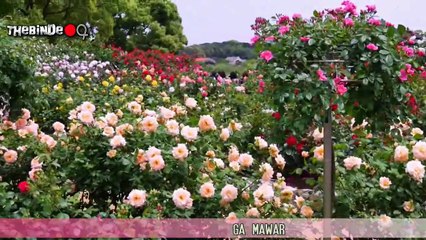 Hip Hop Dangdut - TAK RELA