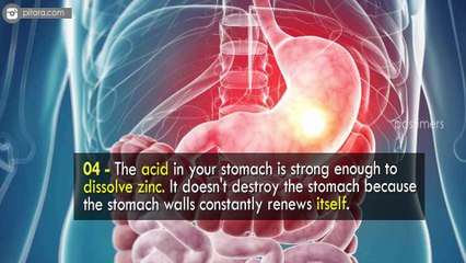 Top 10 Shocking Facts About Human Body