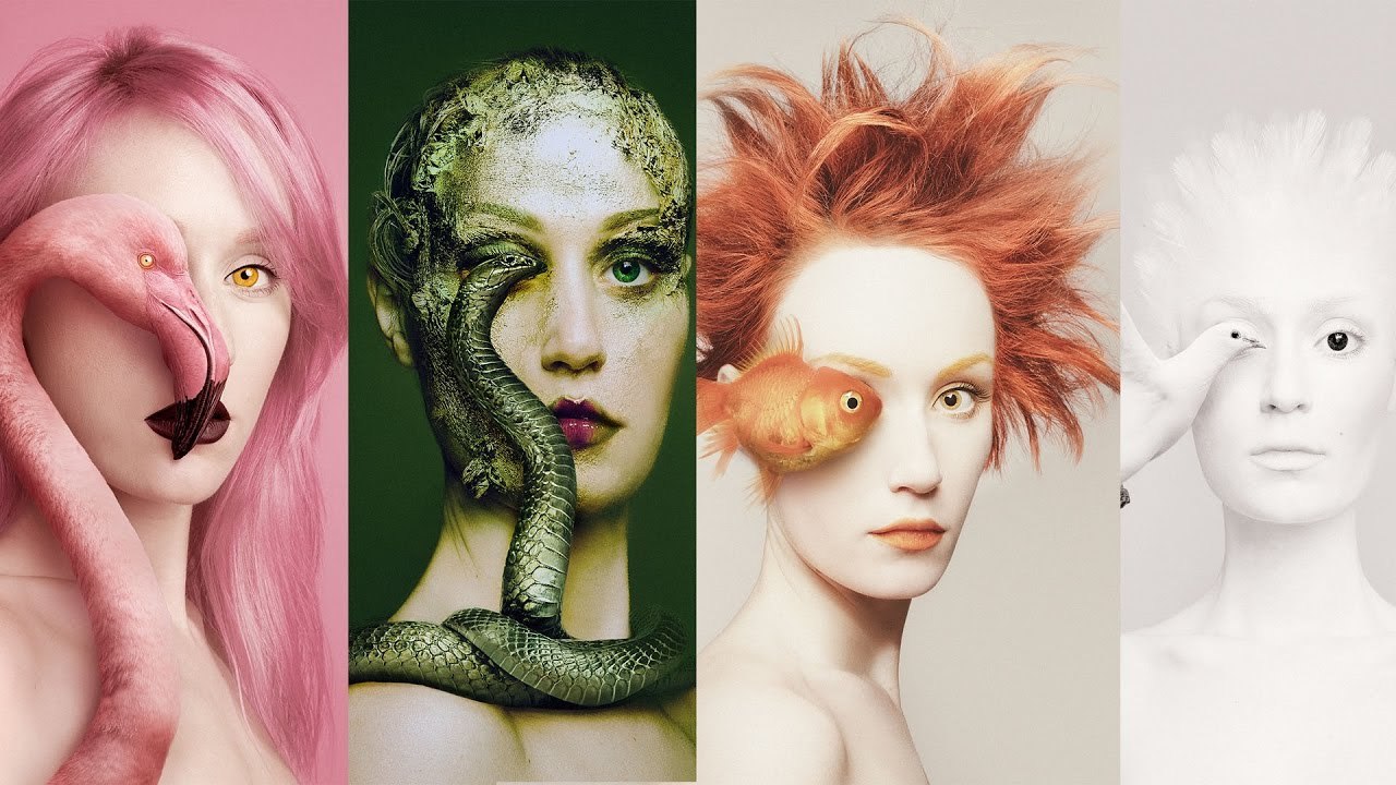 Art Becomes One Eye Replacing With Animals Eye