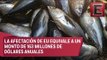 OMC autoriza a México a imponer sanciones a EU en el caso del atún