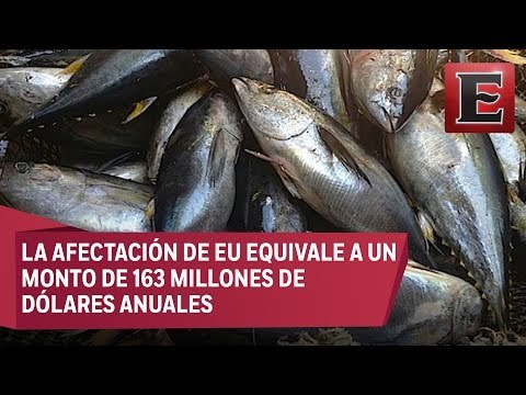 OMC autoriza a México a imponer sanciones a EU en el caso del atún