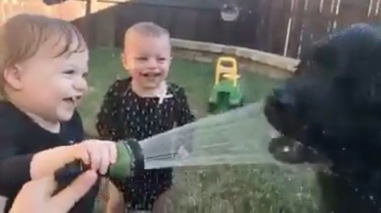 Two Cute Babies Laugh While Spraying Their Dog with Water