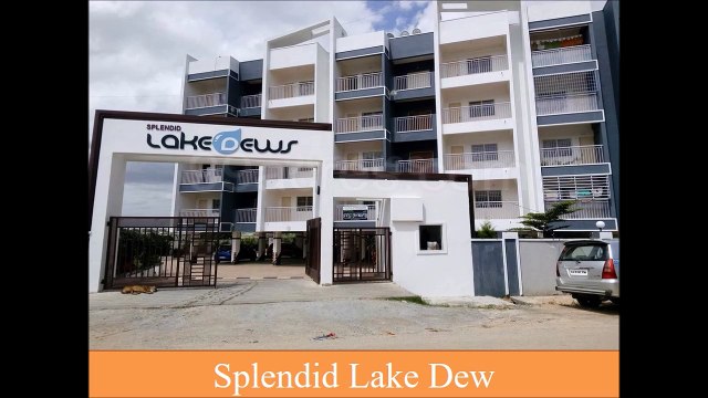 splendid lake dew review