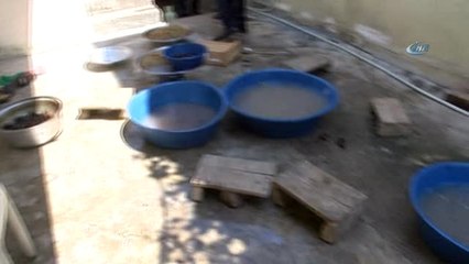 Antalya'da Midye Operasyonu... Merdivenaltı Sağlıksız 500 Kilogram Midyeye El Konuldu
