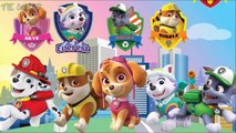 Wrong Paw Patrol Badge Chase Marshall Rocky Rubble Skye Learn Color