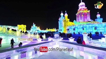 Top 10 Mind Blowing And Shocking Factమిమల్ని అవాక్కయ్యేలా చేసే 10 ఆశ్చర్యకర నిజాలు