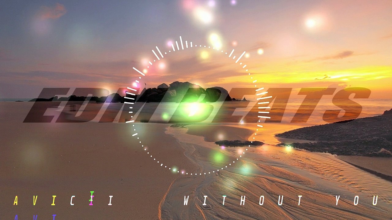 Avicii - Without You