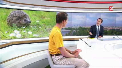 "La Minute nature", un livre pour mieux comprendre ce qui nous entoure