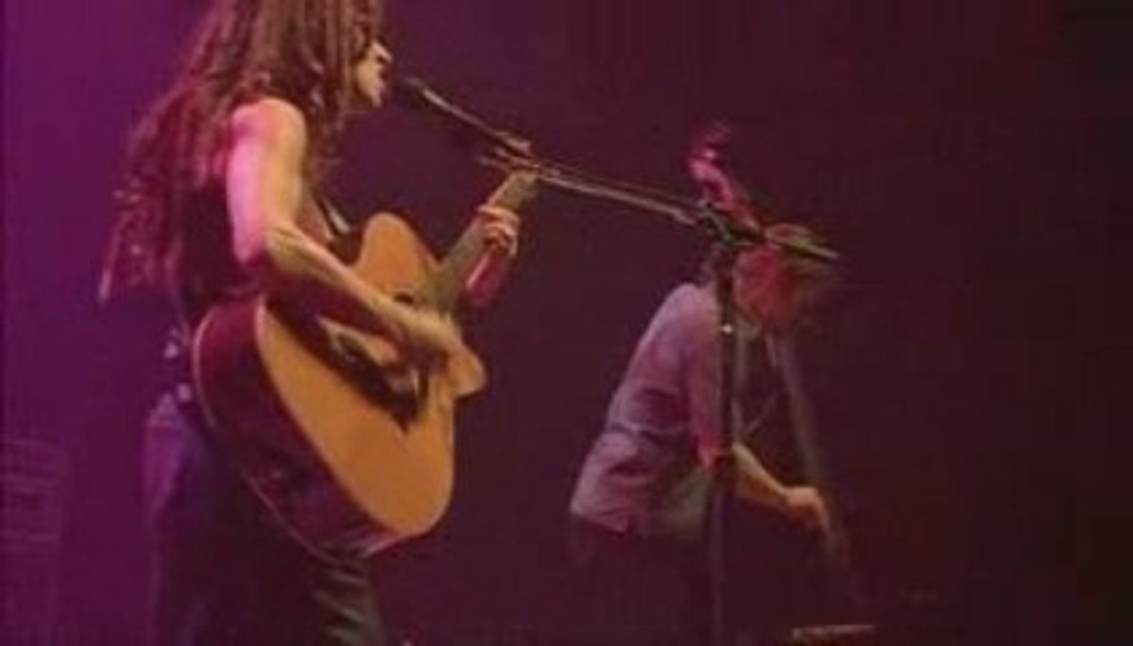 ani Difranco