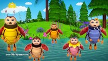 Rabbit and Bugs Finger Family Rhymes _ Animals Finger Family song _ Nursery Rhymes