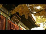 NET17 - Ribuan Warga Beijing Nikmati Keindahan Musim Gugur