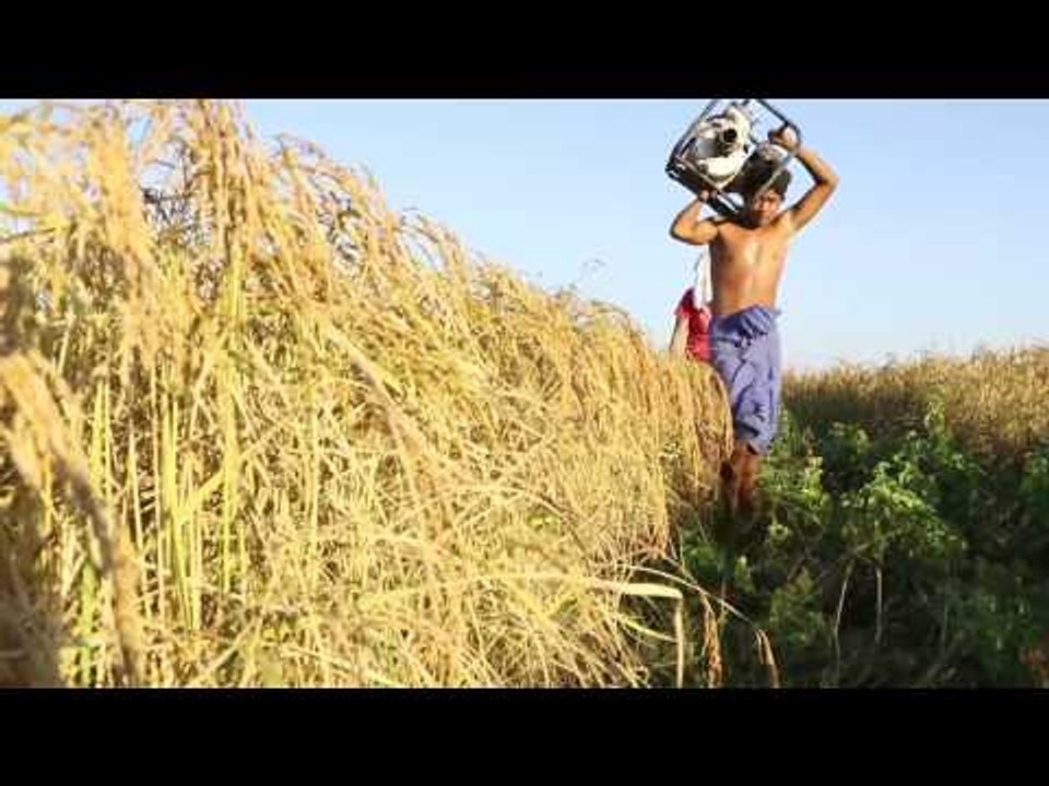 TASTY TRIP: ဆိပ္ခြန္၊ လွေတာ ႏွင့္ ခ်ီပါရြာ
