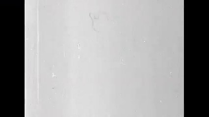 National Educational Television (NET) Closing Logo, 1964