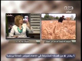 هنا العاصمة - طريقة تعامل الحكومة مع القمح