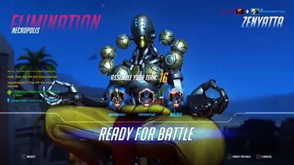 Overwatch Origins Edition (51)