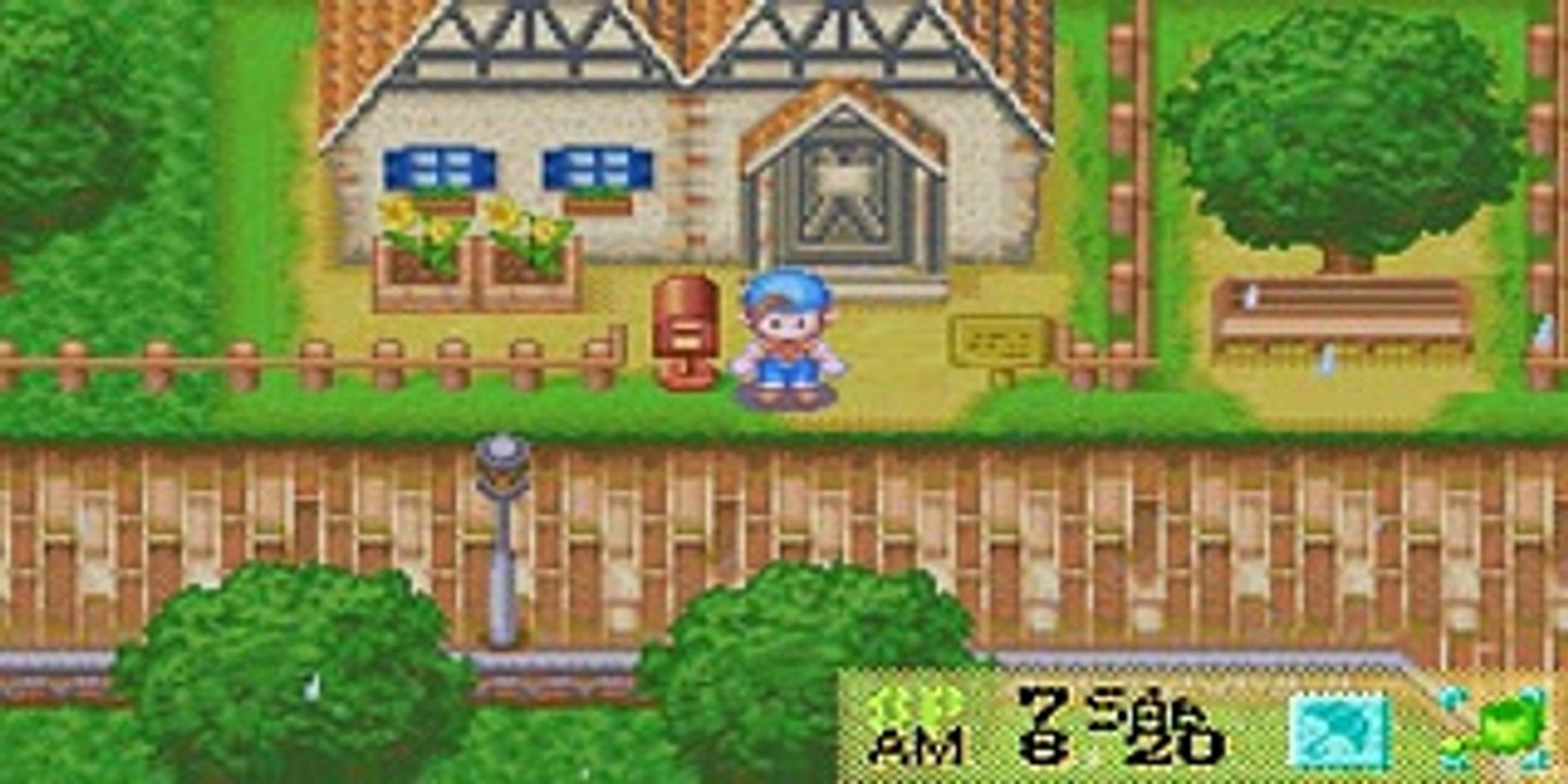 Harvest Moon: Comprando a escova