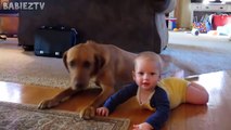 Cute Dogs and Babies Crawling Together - Adorable babies Compilation-IEEo5pIKeY0