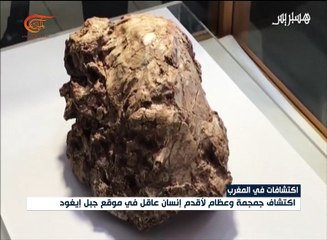 اكتشاف جمجمة أقدم إنسان عاقل في التاريخ بالمغرب