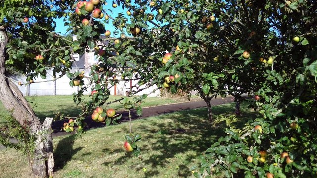 Particulier: vente propriété / chambres d'hôtes Plouezec Côtes d'Armor - Annonces immobilières