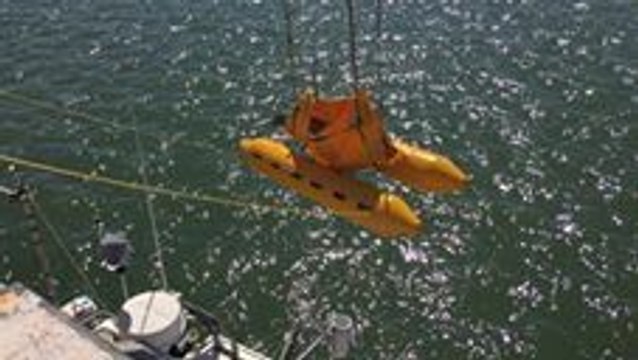 Canadian Marine Biologists Relocate Stranded Beluga Whale