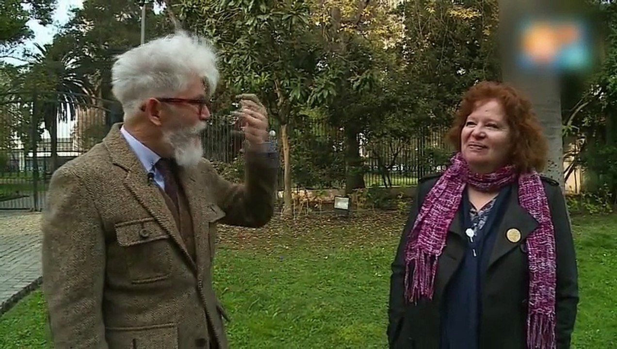 city tour capítulo 16 temporada 2017. (15 de junio 2017).