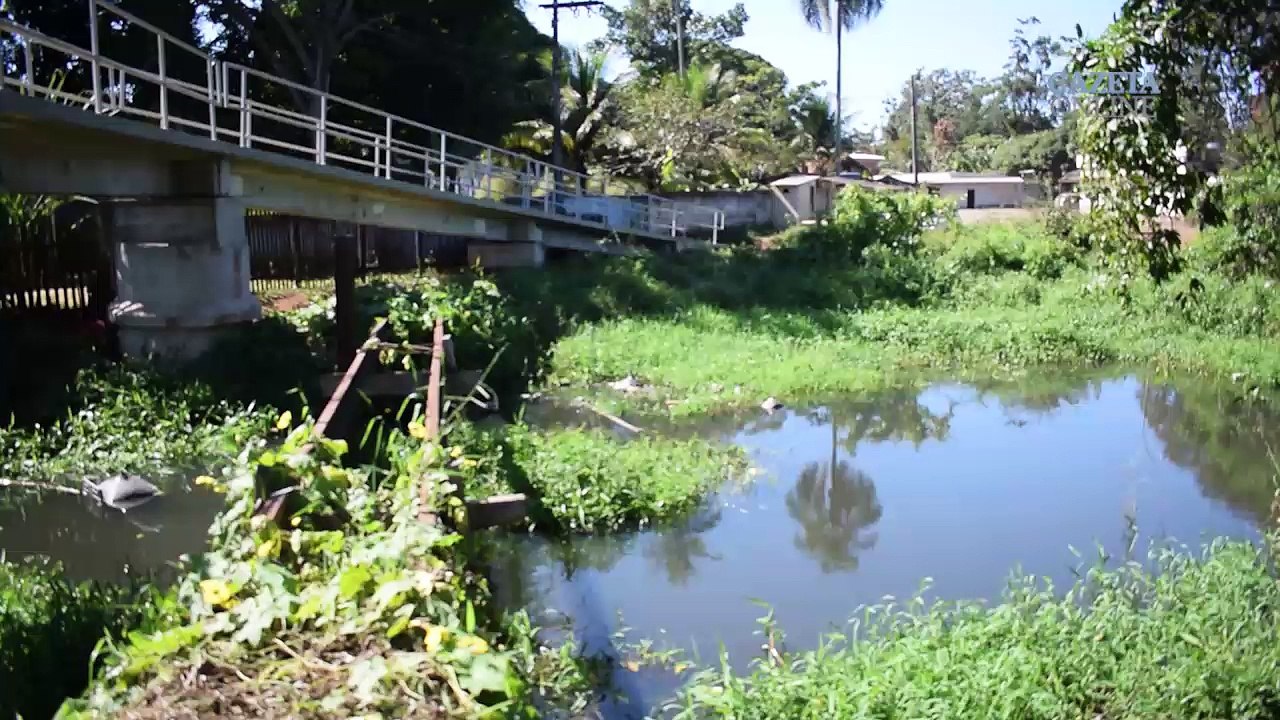 Conheça o Rio Marinho, um dos rios urbanos da Grande Vitória