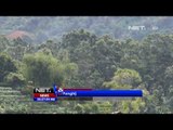 NET24 - Aksi menanam 1 miliar pohon dilakukan oleh pemprov Jawa Barat