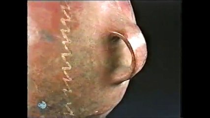 tierra enquevivimos santiago expedicion a su pasado  p2