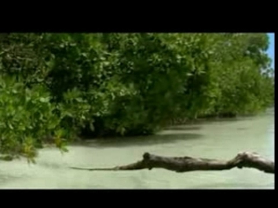 Sur la terre des monstres disparus (2/6)