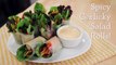 Salad Rolls w  Spicy Garlicky Creamy Dip - Hot Thai Kitc