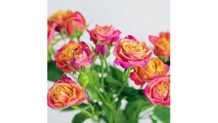 14 GENIUS WAYS TO USE EVERYDAY STUFF