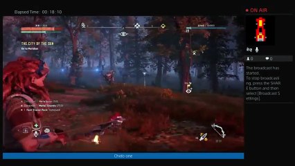 Horizon: Zero Dawn (5)