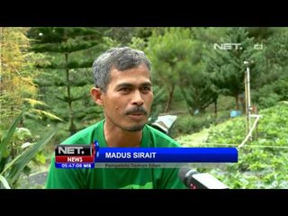 NET5 - Sekeping surga di Taman Eden, Samosir