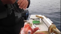 Ustasından Balık Avı - Balık Avı Teknikleri