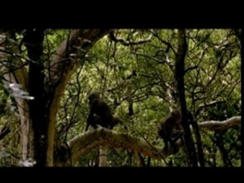 Sur la terre des monstres disparus (4/6)