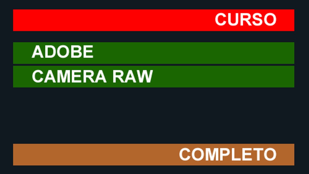 Curso Adobe Camera Raw - Aula 09 - Descrição da...