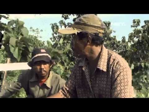 IMS - Wisata dan kuliner khas Blora