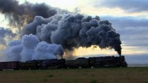 Hey Kids! More Real BIG Steam TRAINS in Action   Lots &