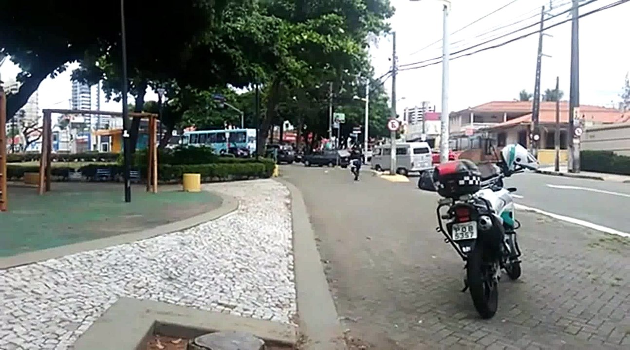 Guarda Municipal interrompe trânsito para gatinha atravessar a rua com o filhote em Fortaleza