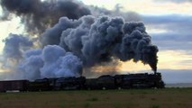 Hey Kids! More Real BIG Steam TRAINS in Action   Lots & Lot