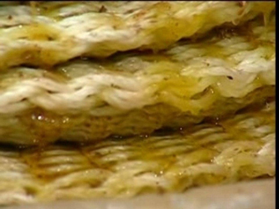 Fadoli d'Oli, les oliviers du pays niçois