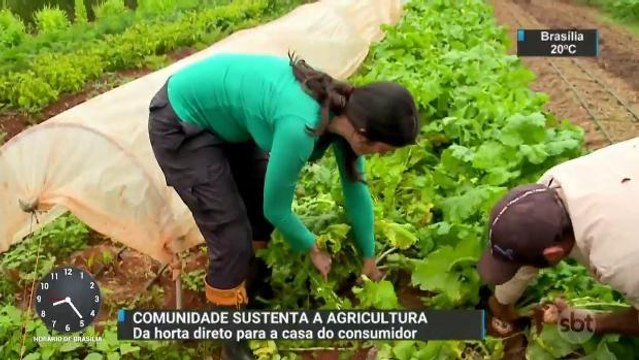Conheça o modelo de parceria entre produtores de alimentos orgânicos e consumidores