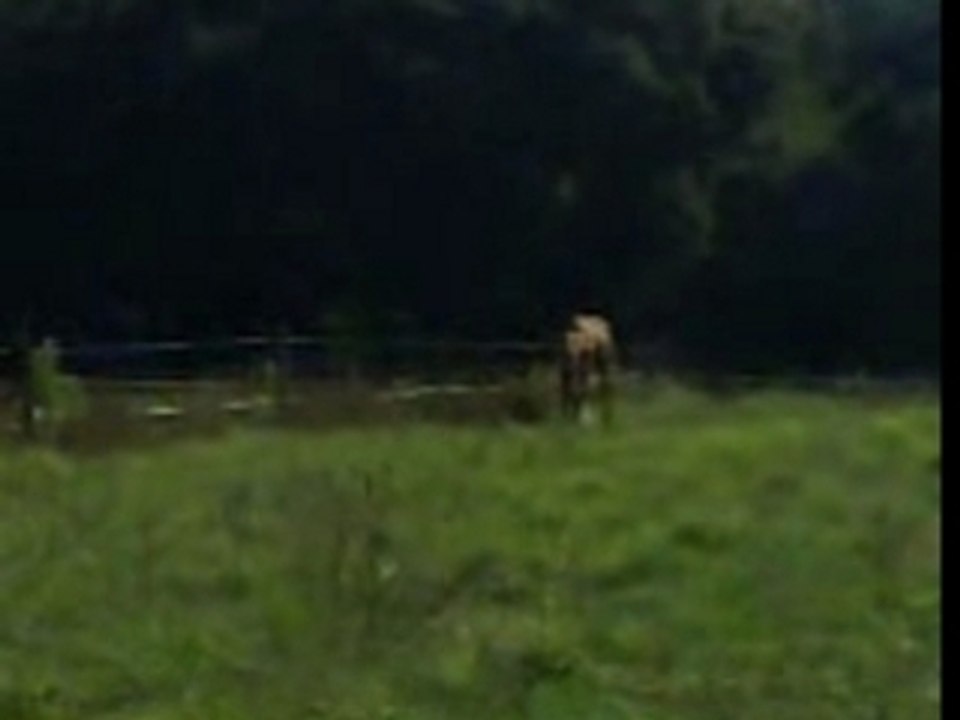 Ramsès et rêve en lib