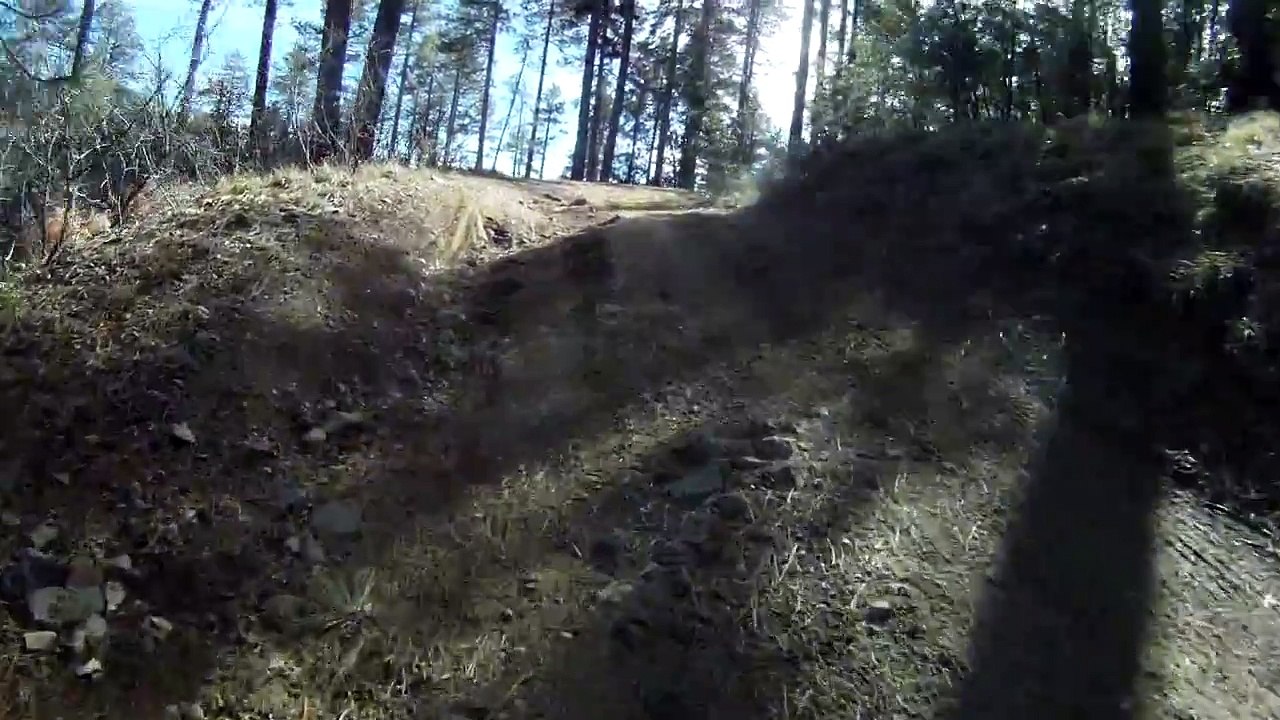 2015 Polaris RZR 900 Trail front POV of an excellent Prescott AZ forest road trail.