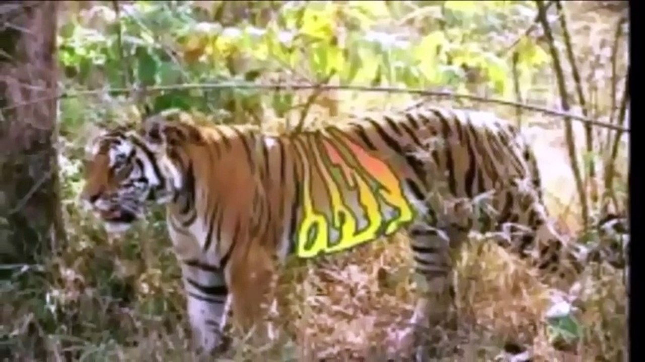 Allah ki qudrat ka karishma-Allah ki qudrat 2016-Allah ki qudrat in Makkah-Allah_HIGH