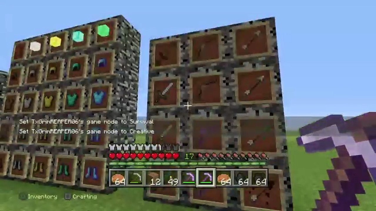 Play minecraft (13)
